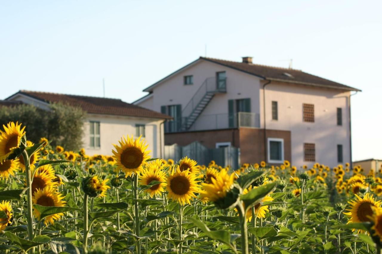 La Collina Del Girasole Villa Montecastrilli Exterior photo